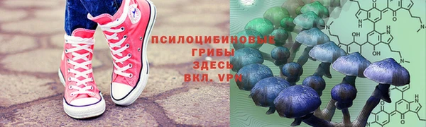 трава Алексин