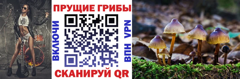 Псилоцибиновые грибы Psilocybine cubensis  купить наркотики сайты  Туймазы 