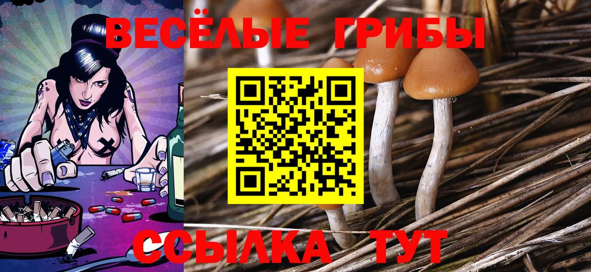 Псилоцибиновые грибы GOLDEN TEACHER Туймазы