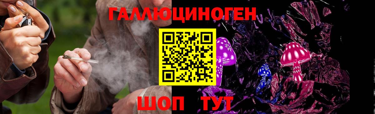 купить наркотик  Галлюциногенные грибы Magic Shrooms  Галлюциногенные грибы Psilocybine cubensis  Вход с VPN  Туймазы 